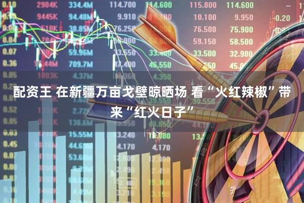 配资王 在新疆万亩戈壁晾晒场 看“火红辣椒”带来“红火日子”
