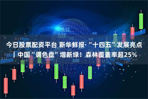 今日股票配资平台 新华鲜报·“十四五”发展亮点｜中国“调色盘”增新绿！森林覆盖率超25%