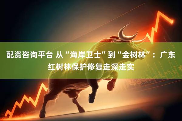 配资咨询平台 从“海岸卫士”到“金树林”：广东红树林保护修复走深走实